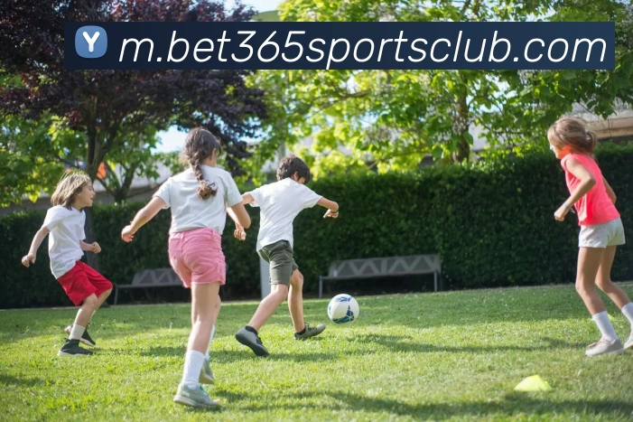 多媒体互动体验